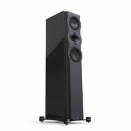 Perlisten Audio R5t