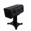 Perlisten Audio R5c