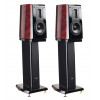 Aurum cantus V3M