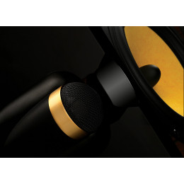 Swan Diva 6.1F