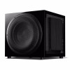 Swan SUB12S DSP Plus