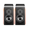Swan D3.1