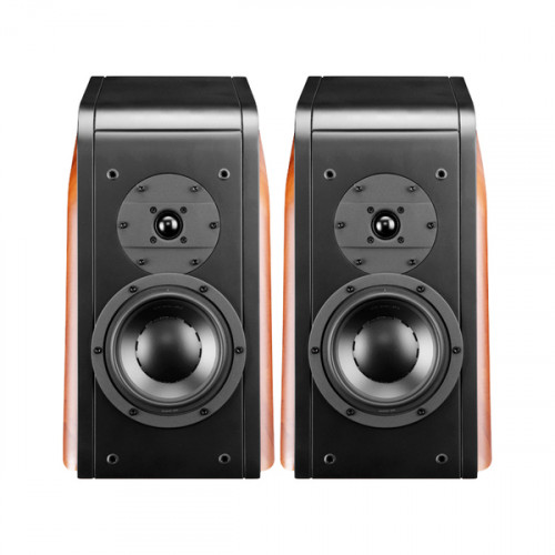 Swan D3.1