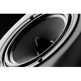 Swan M808A